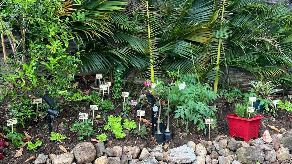 Photo visite botanique — groupe dans le jardin